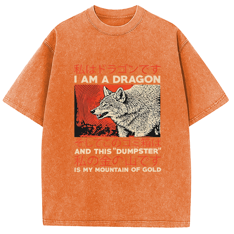 Tokyocanvas I Am A Dragon Coyote Raccoon Trash Graphic Washed T-Shirt