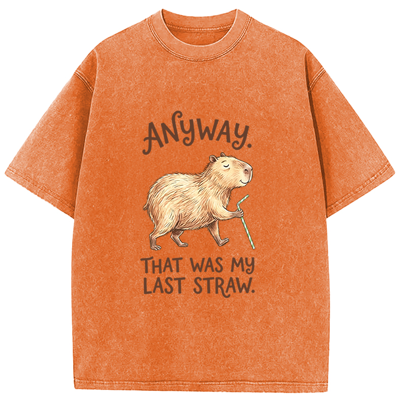 Tokyocanvas Funny Capybara Anyway that was My Last Straw Washed T-Shirt