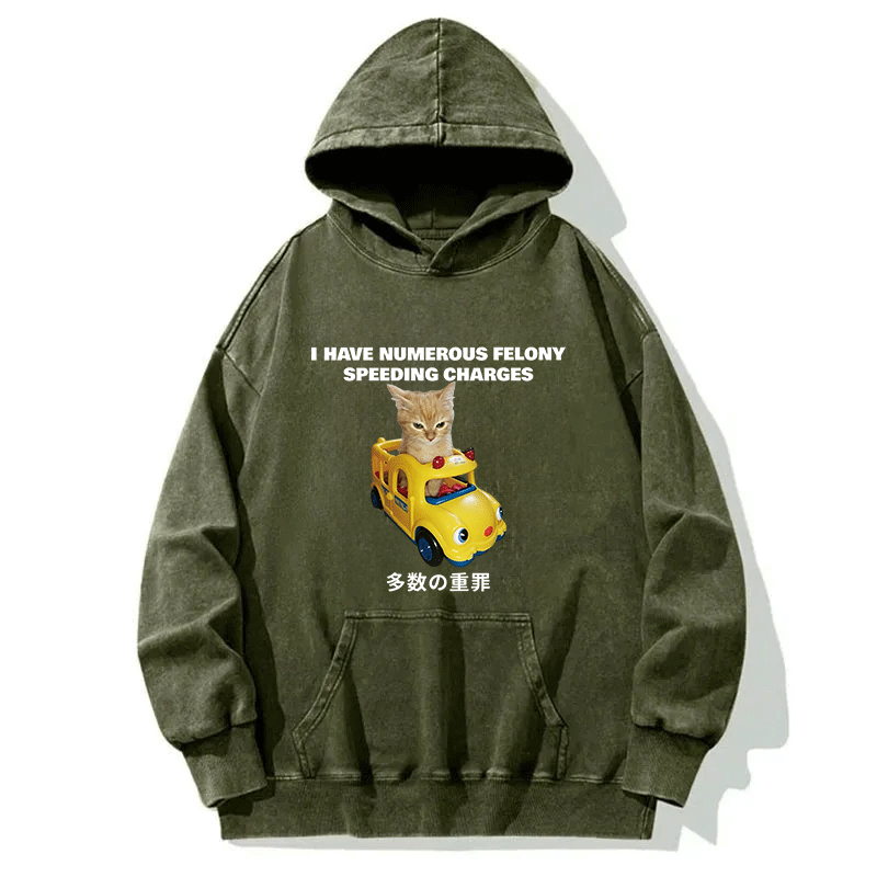Tokyocanvas I Have Numerous Felonies For Speeding Washed Hoodie