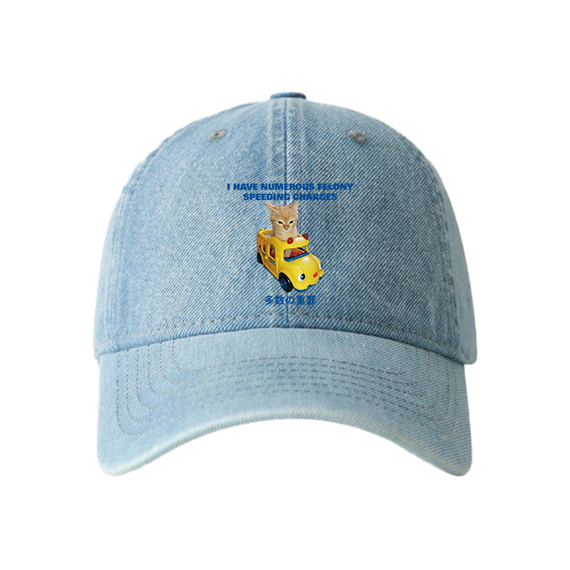 Tokyocanvas I Have Numerous Felonies For Speeding Denim Cap