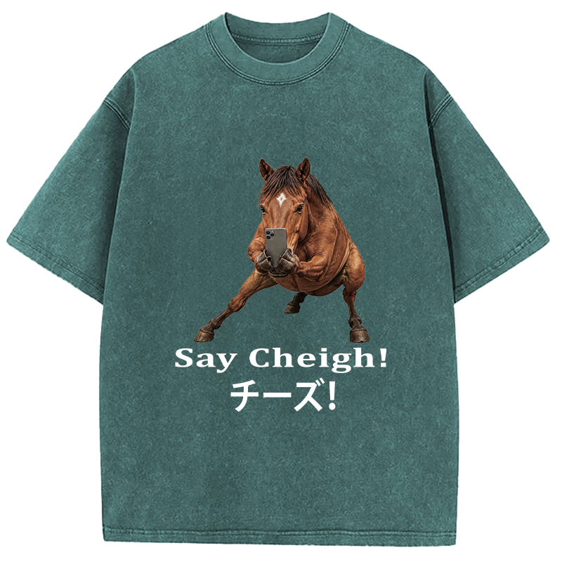 Tokyocanvas Say Cheigh! Horse Meme Washed T-Shirt