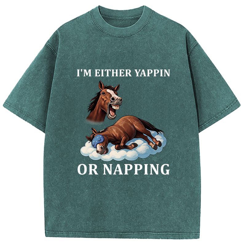 Tokyocanvas Im Either Yappin or Napping  Washed T-Shirt