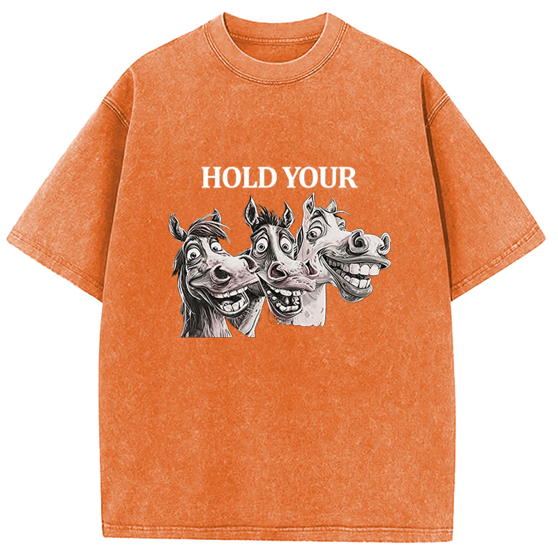 Tokyocanvas Hold Your Horses Meme Washed T-Shirt