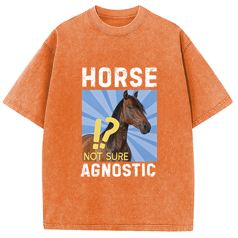 Tokyocanvas Horse Agnostic, Not Sure Essential Washed T-Shirt