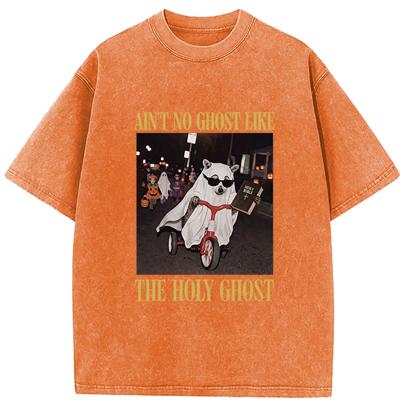 Tokyocanvas Holy Ghost Shirt Fall Christian Apparel Washed T-Shirt