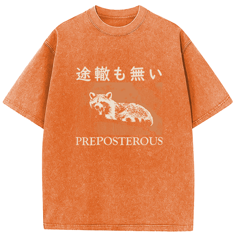Tokyocanvas Preposterous Raccoon Washed T-Shirt