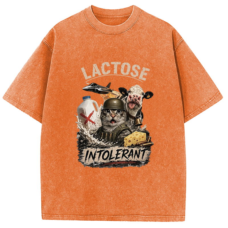 Tokyocanvas Dairy Is My Enemy Washed T-Shirt
