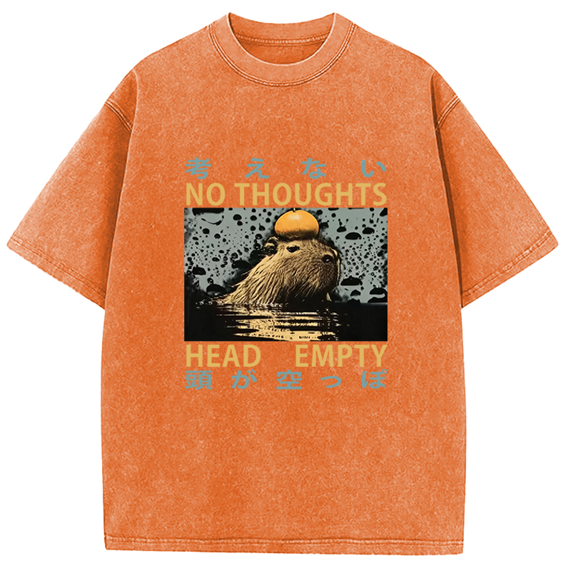 Tokyocanvas No Thoughts Head Empty Washed T-Shirt