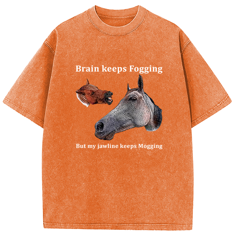 Tokyocanvas Horse Jawline Mogging Washed T-Shirt