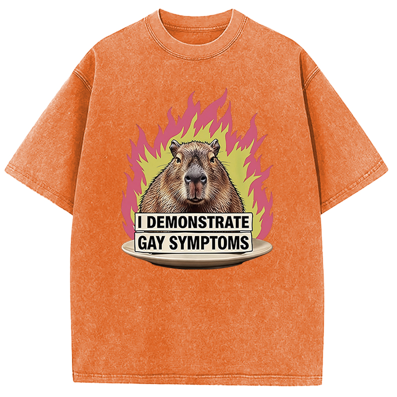 Tokyocanvas I Demonstrate Gay Symptoms Funny Washed T-Shirt