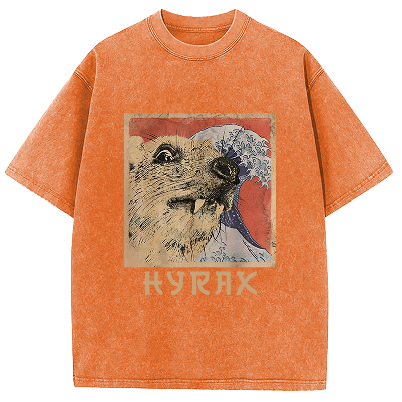 Tokyocanvas Hyrax Japanese Vintage Washed T-Shirt