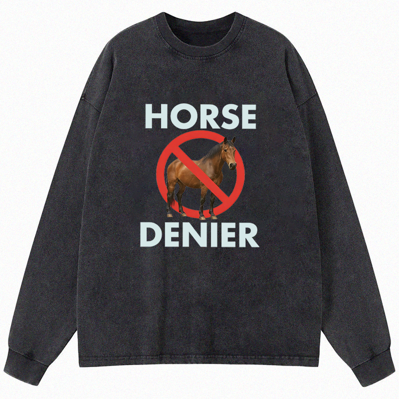 Tokyocanvas Funny Horse Denier Conspiracy Theory Long Sleeve Washed T-Shirt