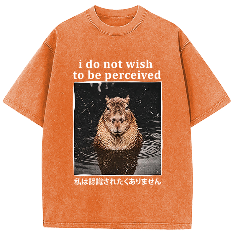 Tokyocanvas I Do Not Wish to Be Perceived Capybara Washed T-Shirt