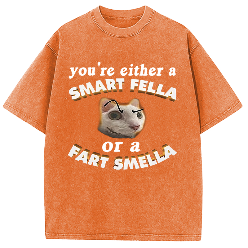 Tokyocanvas You're Either A Smart Fella Or A Fart Smella Funny Cat Washed T-Shirt
