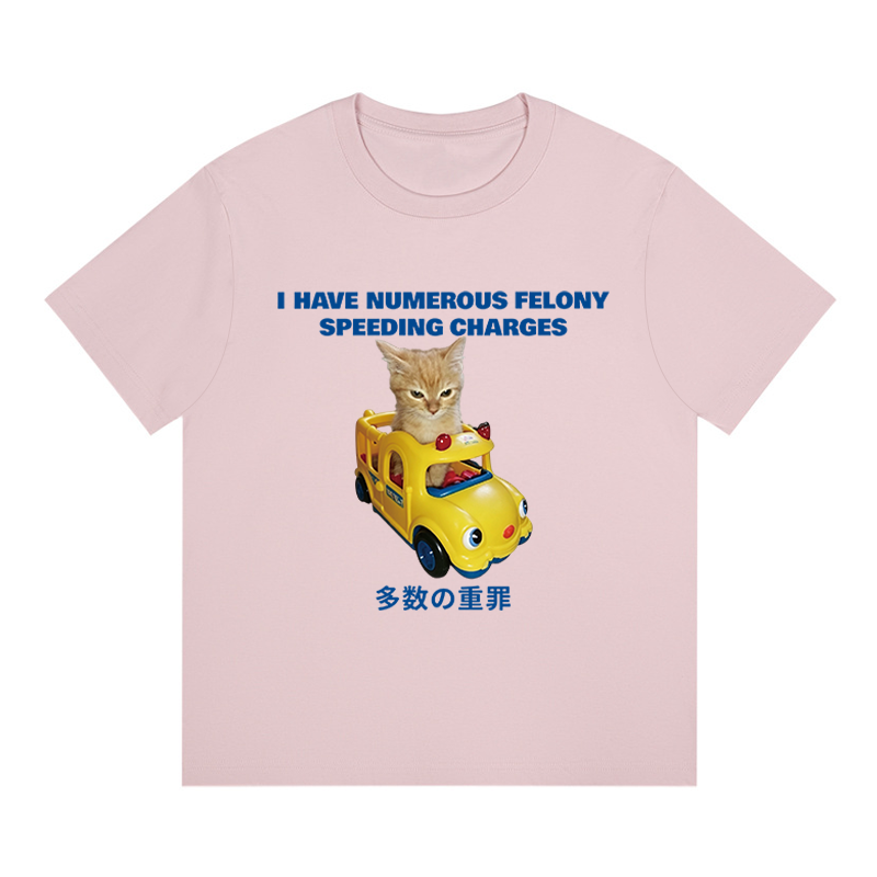 Tokyocanvas I Have Numerous Felonies For Speeding Boxy T-shirt