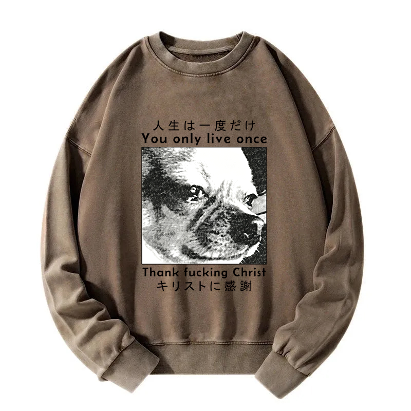 Tokyocanvas You Only Live Once Washed Sweatshirt