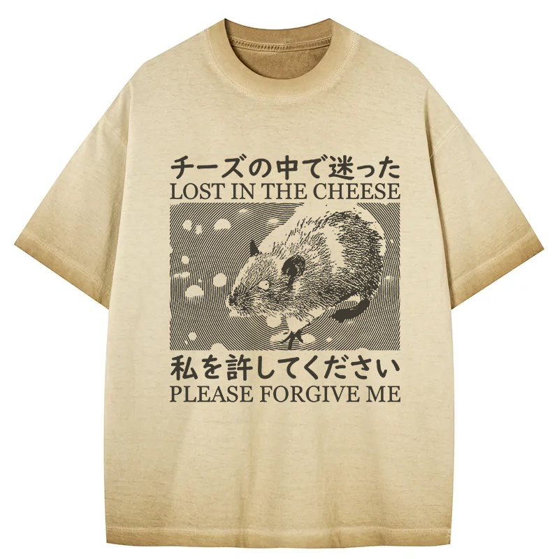 Tokyocanvas Lost in the Cheese Please Forgive Me Gradient Washed T-Shirt