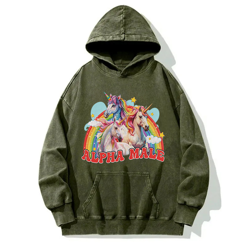 Tokyocanvas Alpha Male Unicorn Washed Hoodie