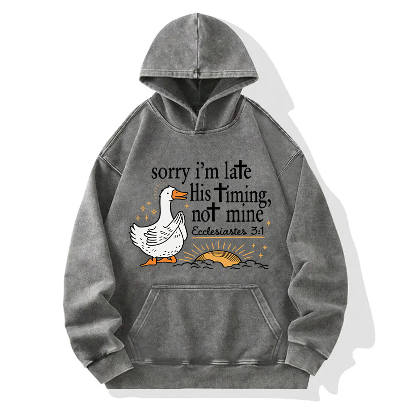 Tokyocanvas His Timing Not Mine Goose Washed Hoodie