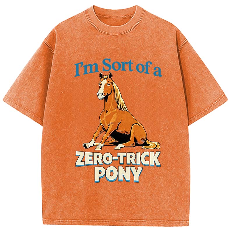 Tokyocanvas Zero Trick Pony Washed T-Shirt