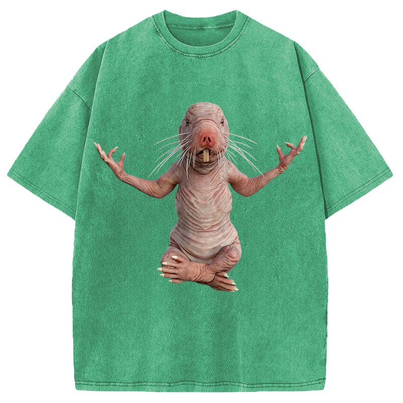 Tokyocanvas Funny Naked Mole-Rat Washed T-Shirt