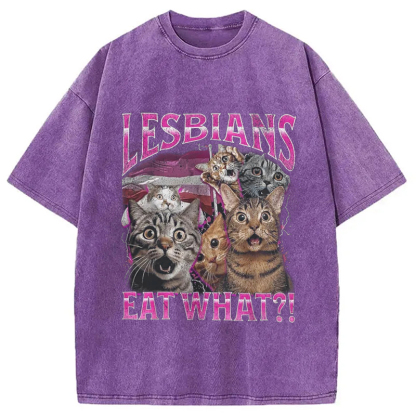 Tokyocanvas Lesbians Eat What?! Funny Washed T-Shirt