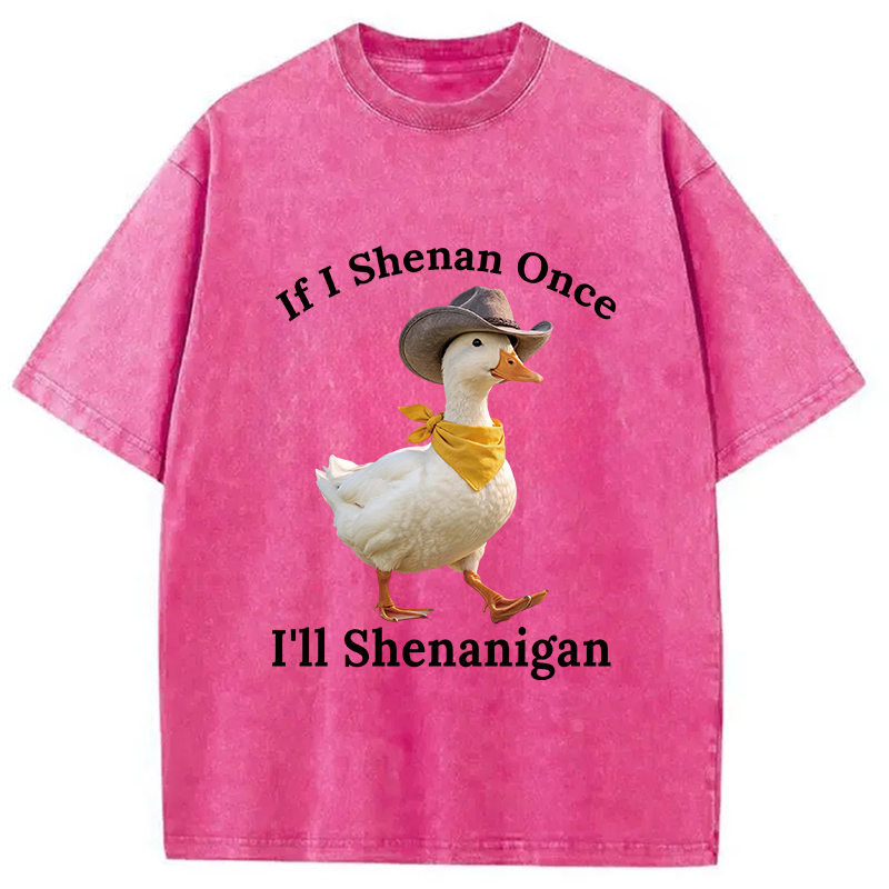 Tokyocanvas If I Shenan Once Funny Goose Washed T-Shirt