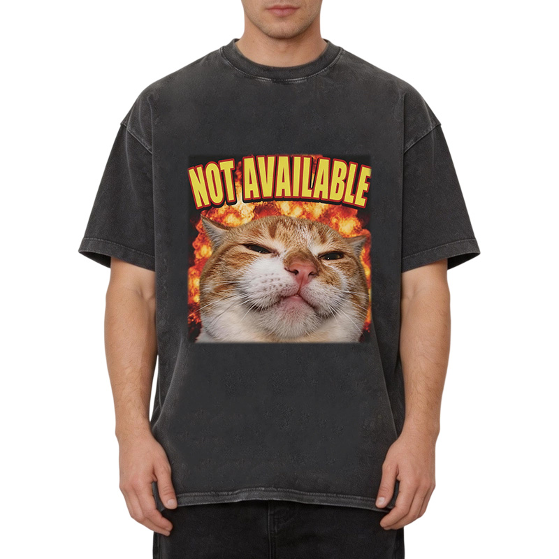 Tokyocanvas Not Available Cat Meme Washed T-Shirt