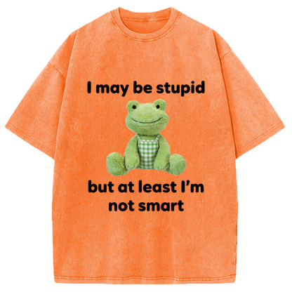 Tokyocanvas I May Be Stupid Alcohol Lover Washed T-Shirt