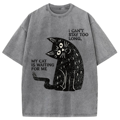 Tokyocanvas My Cat Is Waiting for Me Washed T-Shirt
