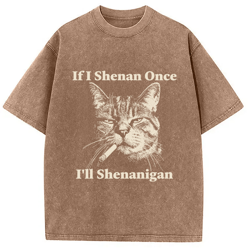 Tokyocanvas If I Shenan Once I'll Shenanigan Cat Washed T-Shirt