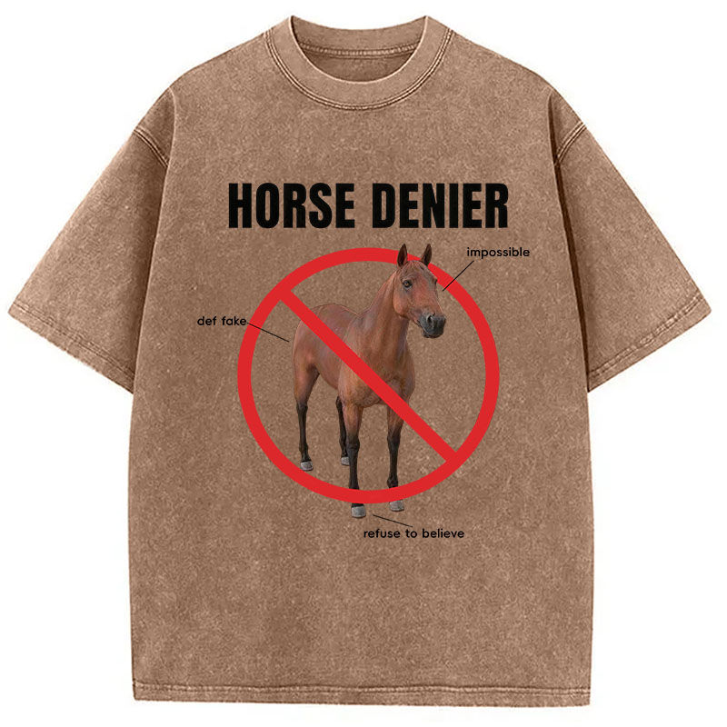 Tokyocanvas Horse Denier Analysis Washed T-Shirt