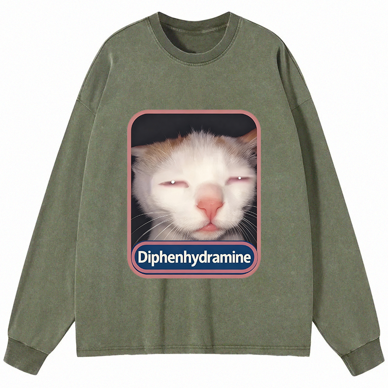 Tokyocanvas Funny Meme Cat Long Sleeve Washed T-Shirt