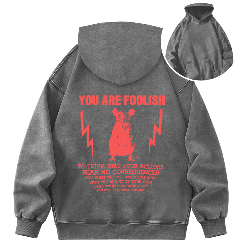 Tokyocanvas You Are Foolish Rat Meme Washed Hoodie