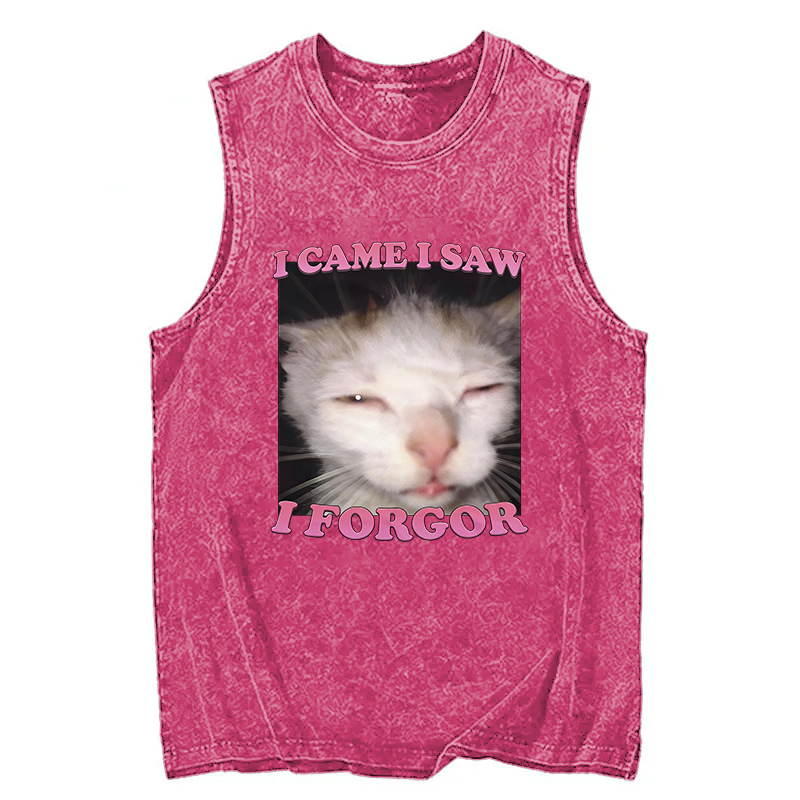 Tokyocanvas I Forgor Funny Cat Meme Washed Tank