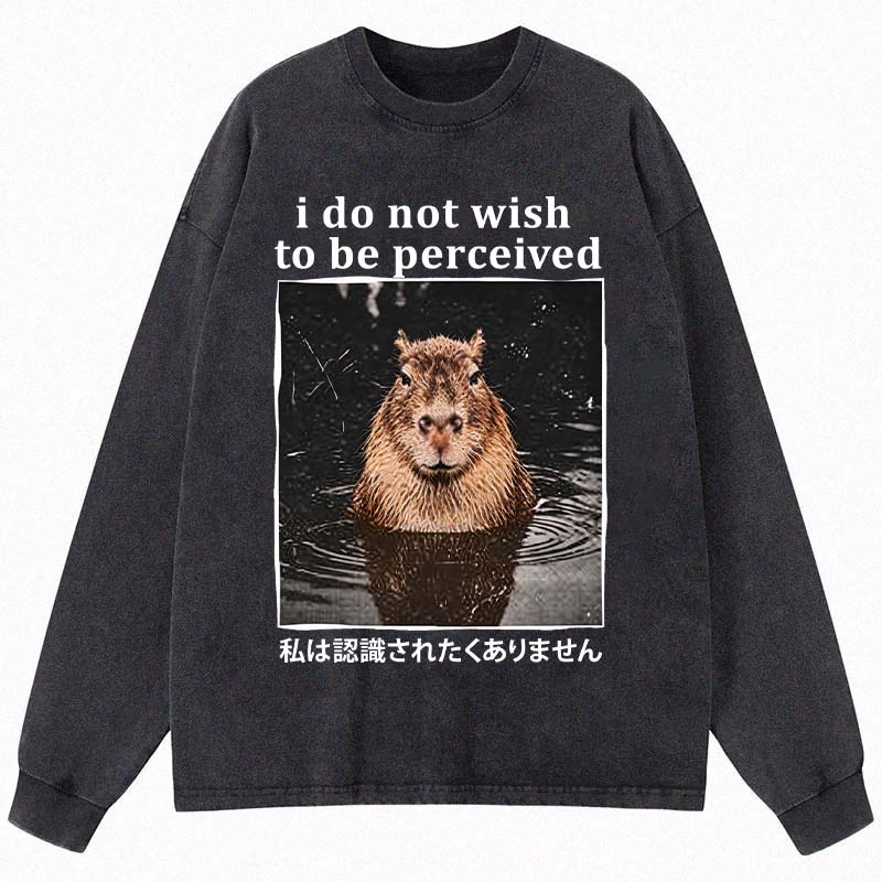 Tokyocanvas I Do Not Wish to Be Perceived Capybara Long Sleeve Washed T-Shirt