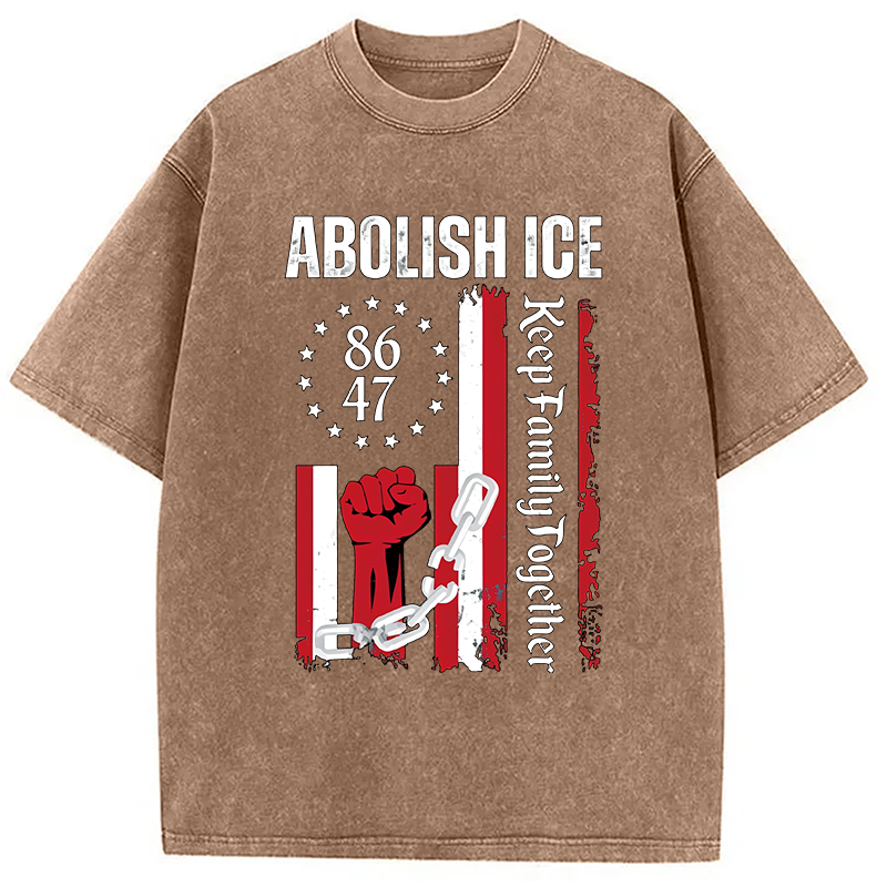 Tokyocanvas Abolish Ice Meme Washed T-Shirt