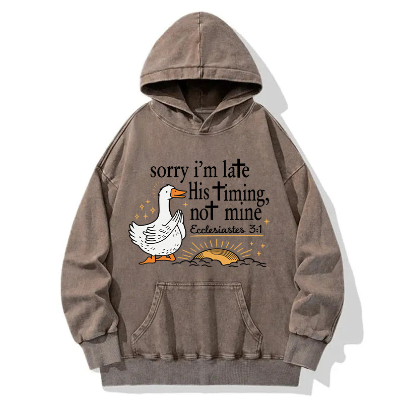 Tokyocanvas His Timing Not Mine Goose Washed Hoodie