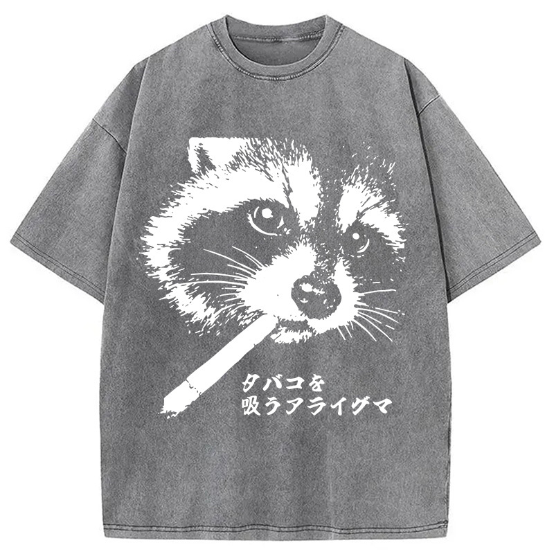 Tokyocanvas Somking Raccoon Washed T-Shirt