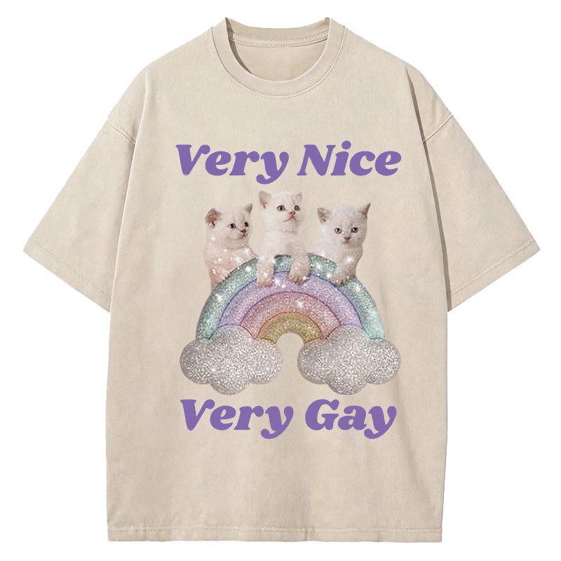 Tokyocanvas Very Nice Very Gay Washed T-Shirt
