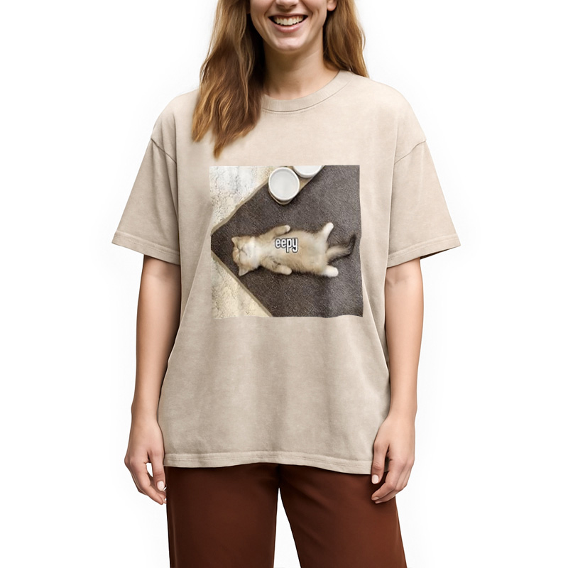 Tokyocanvas Eepy Funny Cat Meme Washed T-Shirt