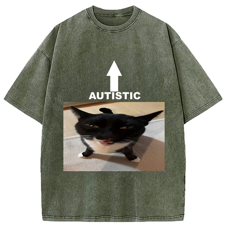 Tokyocanvas Autistic Cat Washed T-Shirt