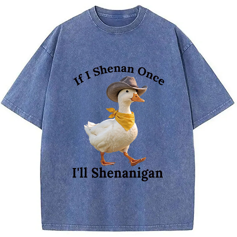 Tokyocanvas If I Shenan Once Funny Goose Washed T-Shirt