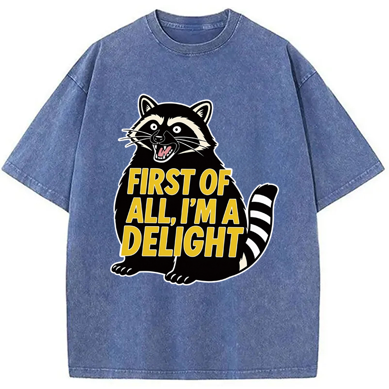 Tokyocanvas First of All I'm a Delight Raccoon Washed T-Shirt