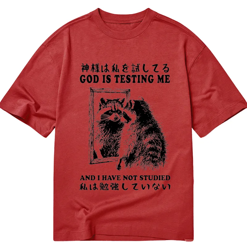 Tokyocanvas Raccoon Not Studied Classic T-Shirt