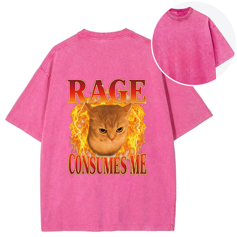 Tokyocanvas Rage Consumes Me Edgy Funny Cat Meme Back Washed T-Shirt