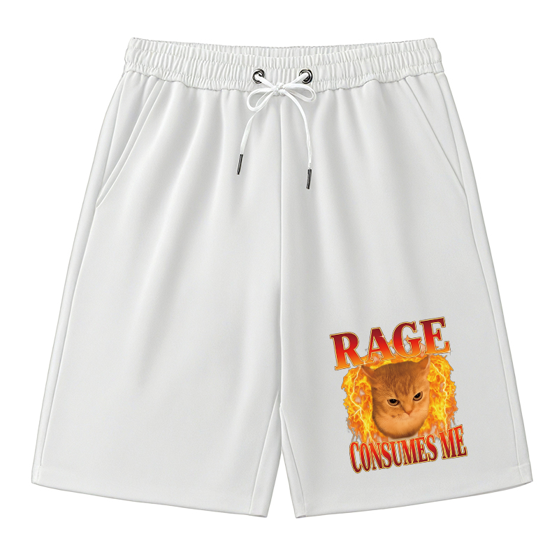 Tokyocanvas Rage Consumes Me Edgy Funny Cat Meme Classic Short