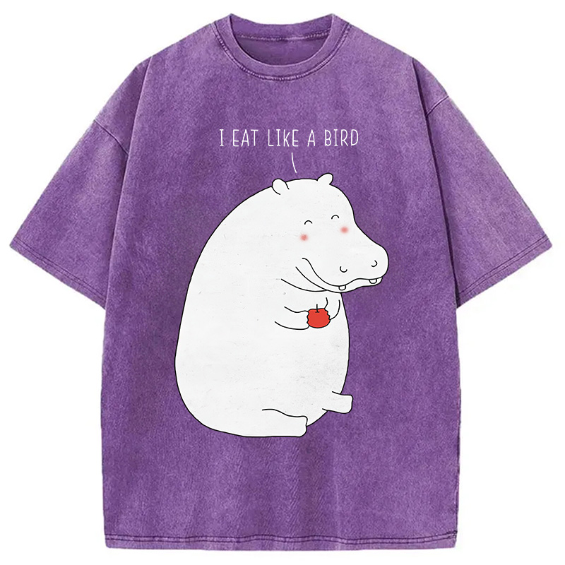 Tokyocanvas Humble Hippo Washed T-Shirt