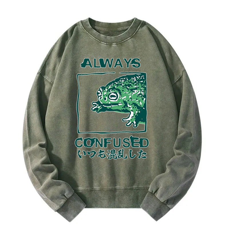 Tokyocanvas Always Confused Frog Washed Sweatshirt