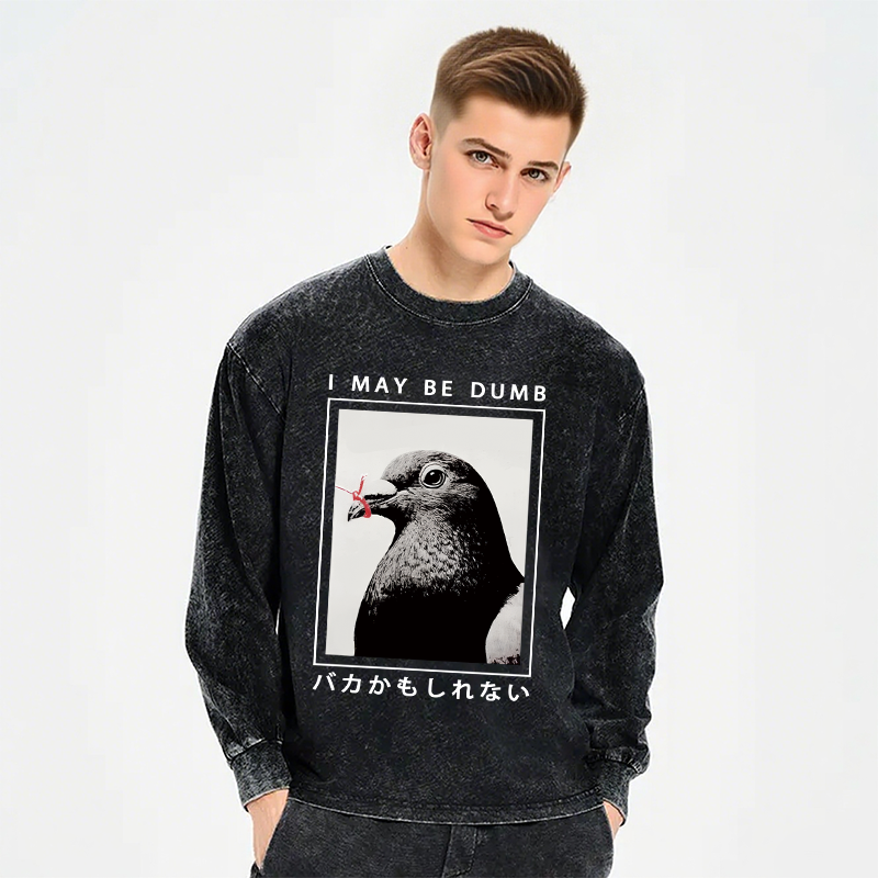 Tokyocanvas I May Be Dumb Funny Long Sleeve Washed T-Shirt